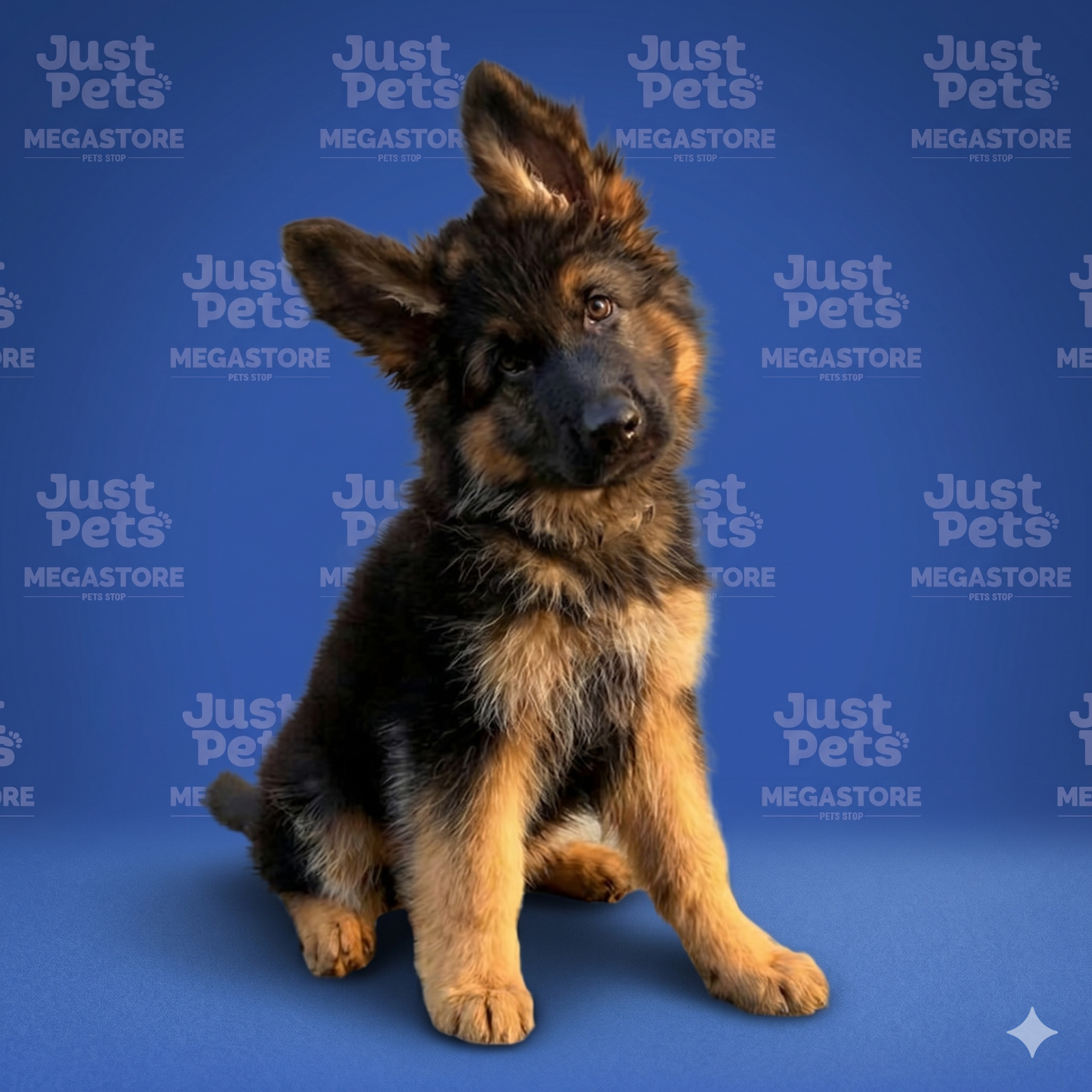 German Shepherd